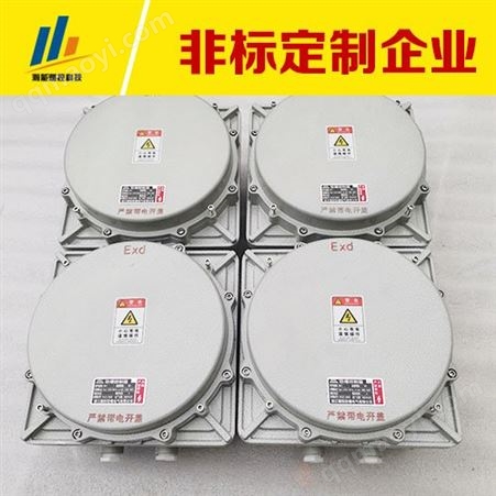 JHGN-120JHGN-120防爆高能点火器 电缆接头