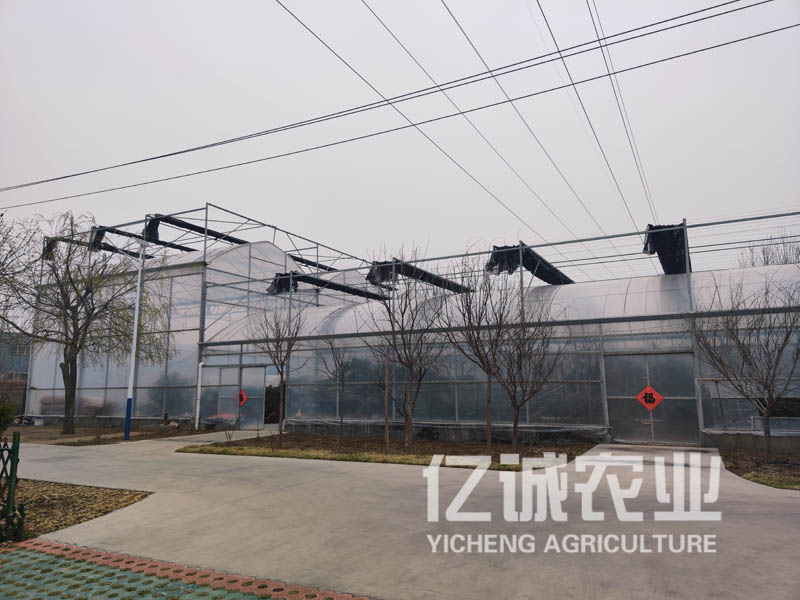 连栋智能玻璃温室厂家 连栋智能玻璃温室厂家